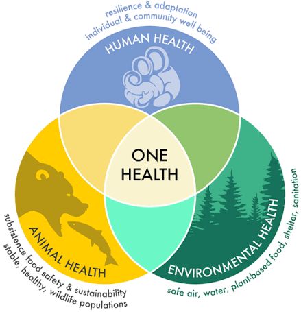 One Health diagram showing human, animal, and environmental health