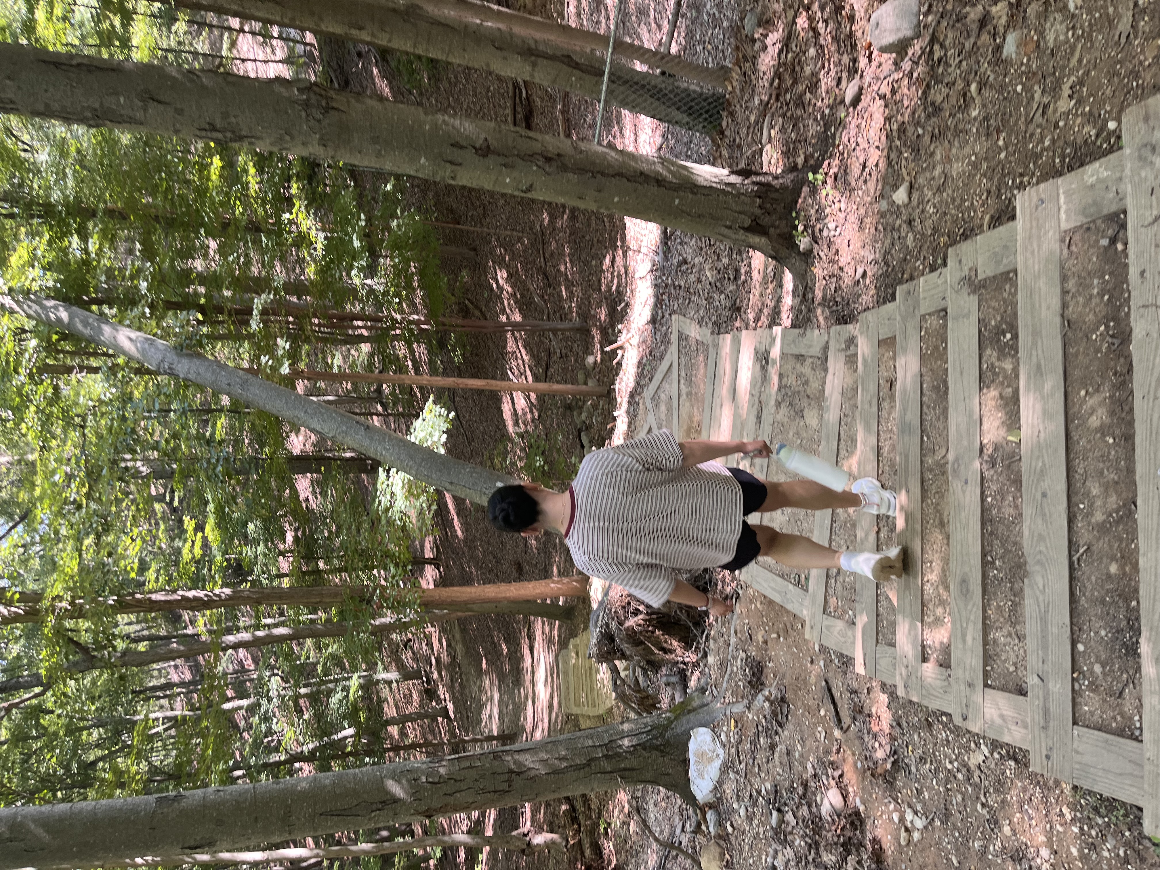 Sandra walking down a wooden staircase on a wooded trail