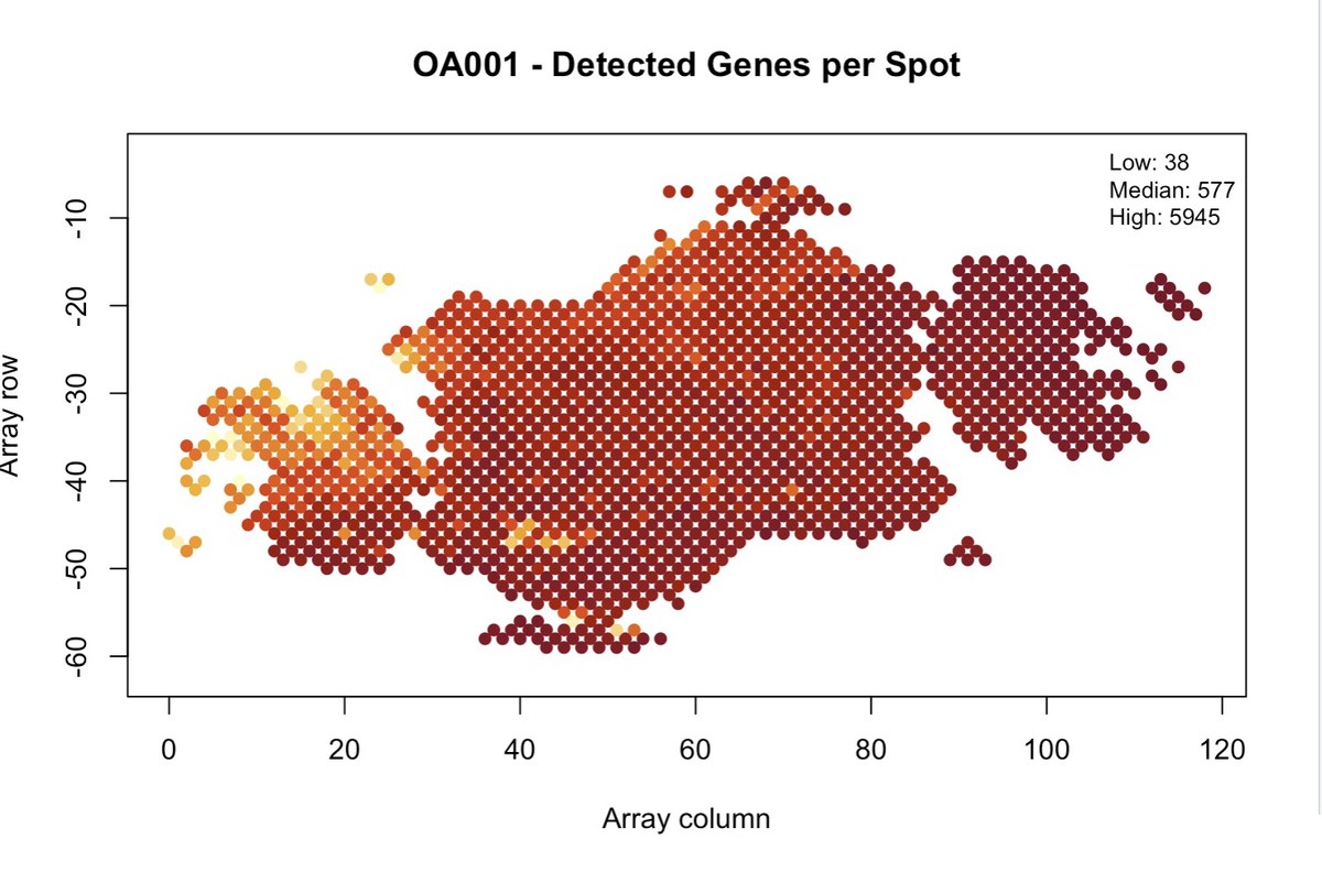 Detected genes per spot across the OA001 tissue section