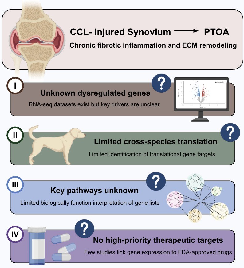 Overview of the problem: unknown dysregulated genes, limited cross-species translation, unclear pathways, and no prioritized therapeutic targets